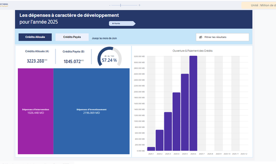 Les dépenses à caractère de développement 2025