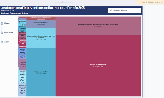Les dépenses d'interventions ordinaires pour l'année 2025
